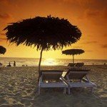 7 awesome things one must do in Goa!