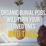 What would you prefer, spending your afterlife in a coffin or in organic burial pods that’ll turn you into a tree?